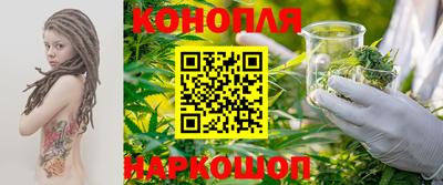 стаф Бузулук