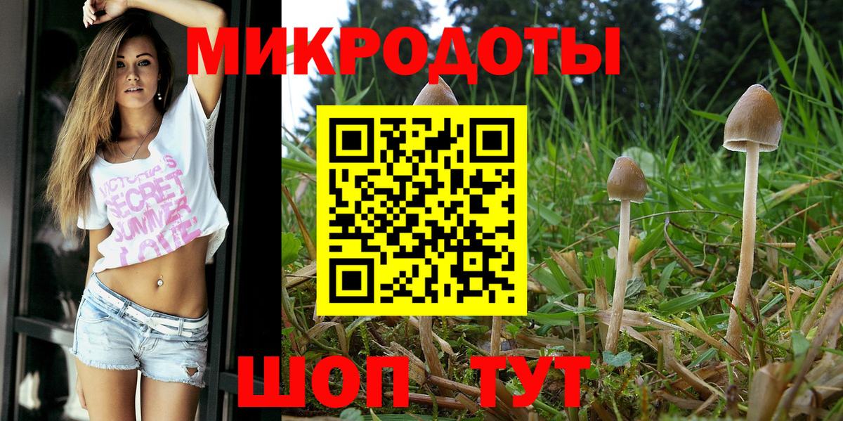 Салават  Псилоцибиновые грибы мухоморы  что такое наркотик  Галлюциногенные грибы прущие грибы  Вход с VPN 