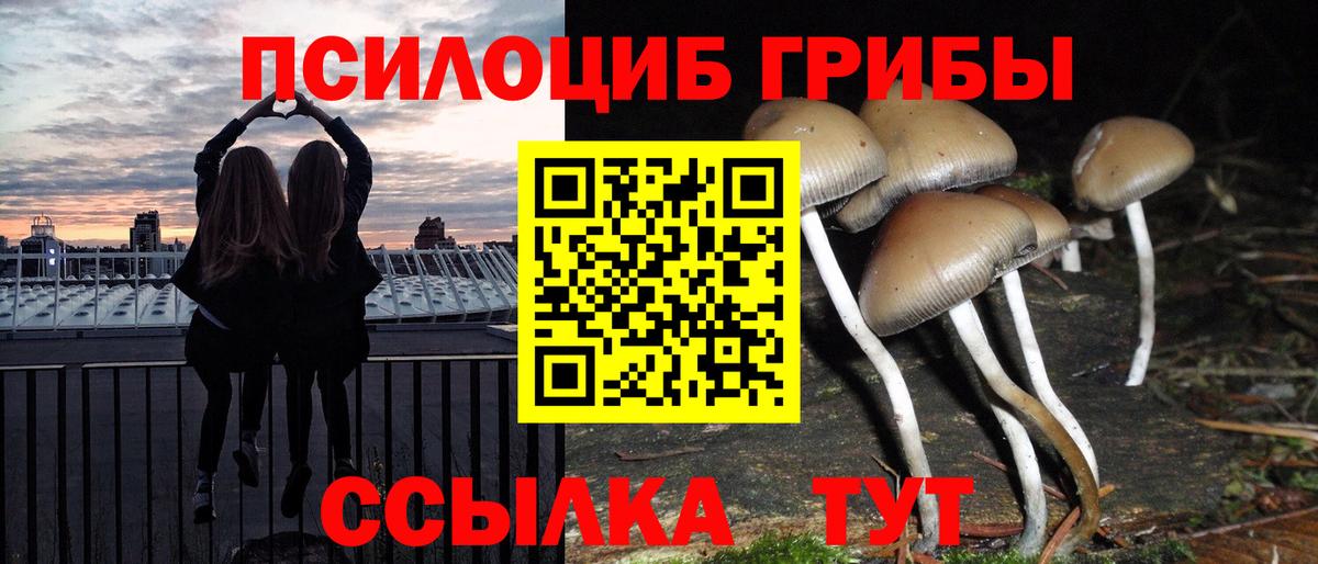 Галлюциногенные грибы Magic Shrooms Салават